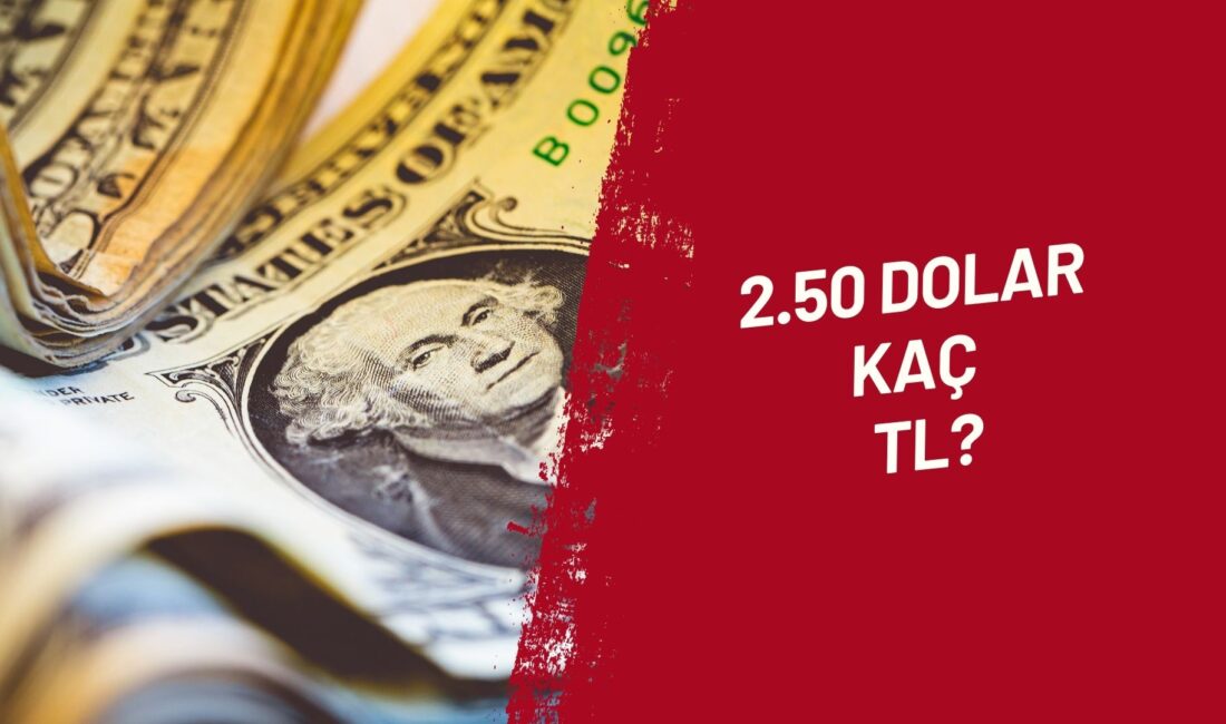 2.50 Dolar Kaç TL eder sorusu en çok merak edilen