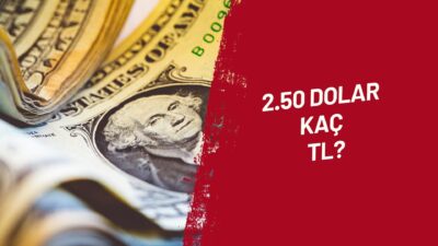 2.50 Dolar Kaç TL eder sorusu en çok merak edilen