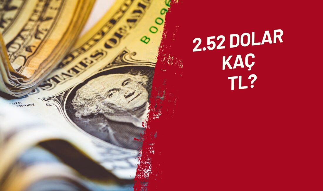 2.52 Dolar kaç TL? GÜNCEL 2.52 dolar kaç tl en çok merak edilen sorular arasında