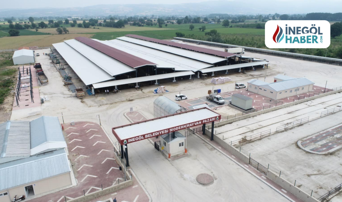 İnegöl Belediyesi, şap hastalığı nedeniyle Hayvan Pazarı'nı 13 Şubat 2025