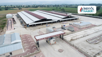 İnegöl Belediyesi, şap hastalığı nedeniyle Hayvan Pazarı'nı 13 Şubat 2025