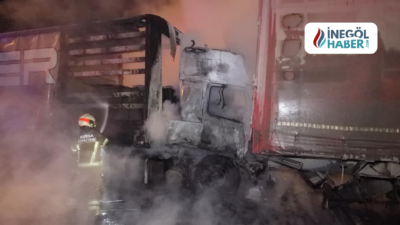İnegöl'de meydana gelen trafik kazasında, sunta yüklü bir tır kontrolden