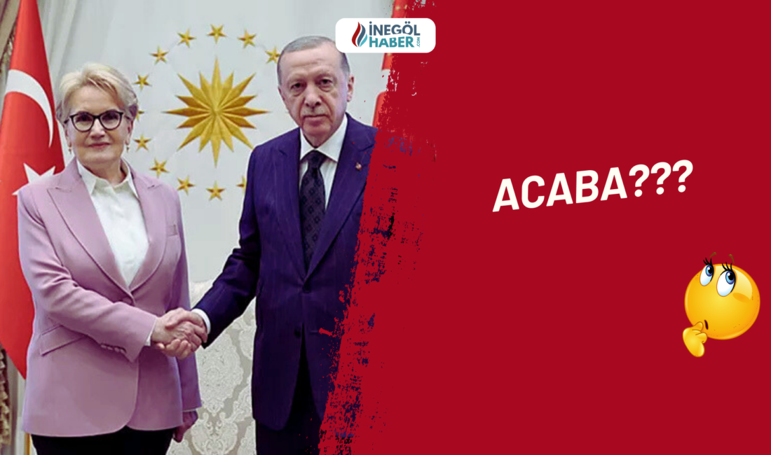 İYİ Parti eski Genel Başkanı Meral Akşener’in Cumhurbaşkanı Erdoğan ile