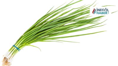 Rüyada Yeşil Soğan Görmek Ne Anlama Gelir? Rüyada yeşil soğan temizlemek, yaşamınızdaki olumsuzlukları arındırma çabalarını simgelerken, soğan