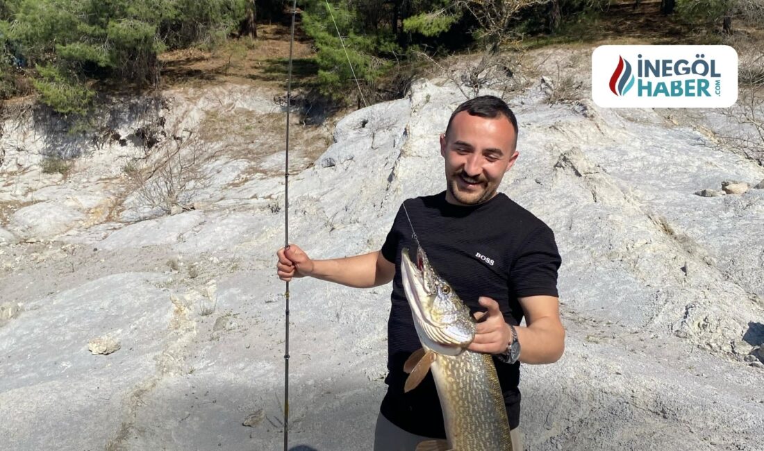 İnegöl’de Rekor Balık Avı: Amatör Balıkçının Oltasına Dev Turna Takıldı Bursa'nın İnegöl ilçesinde amatör balıkçı Emre Ceylan, 1 metre uzunluğunda